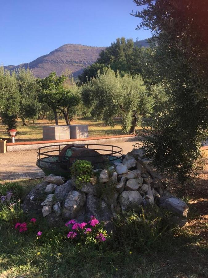 Sonnino Casa Fra Gli Ulivi Di Giuseppe 게스트하우스 외부 사진